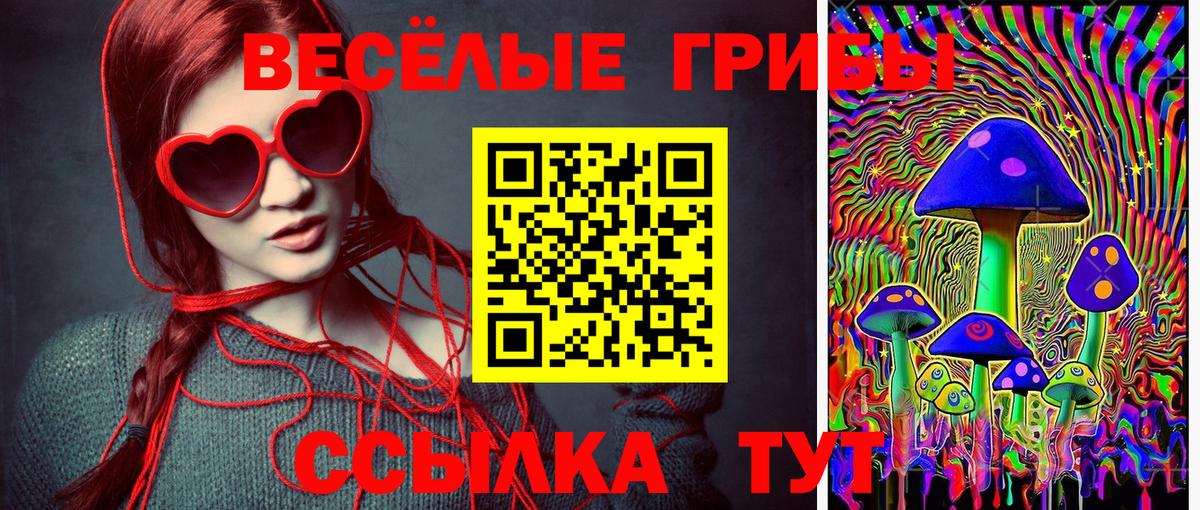 Галлюциногенные грибы мицелий Ливны
