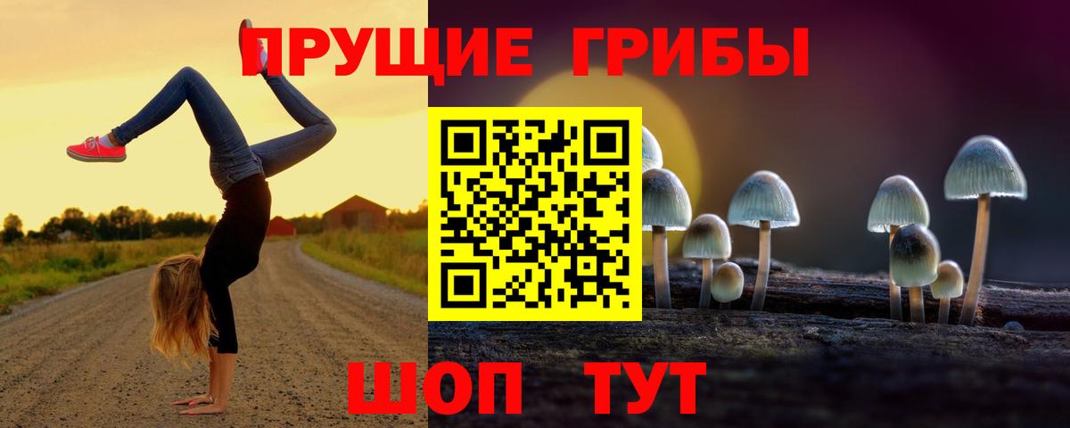 Ливны  Псилоцибиновые грибы мухоморы  Вход с VPN 